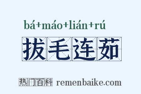 拔毛连茹是什么意思的图片